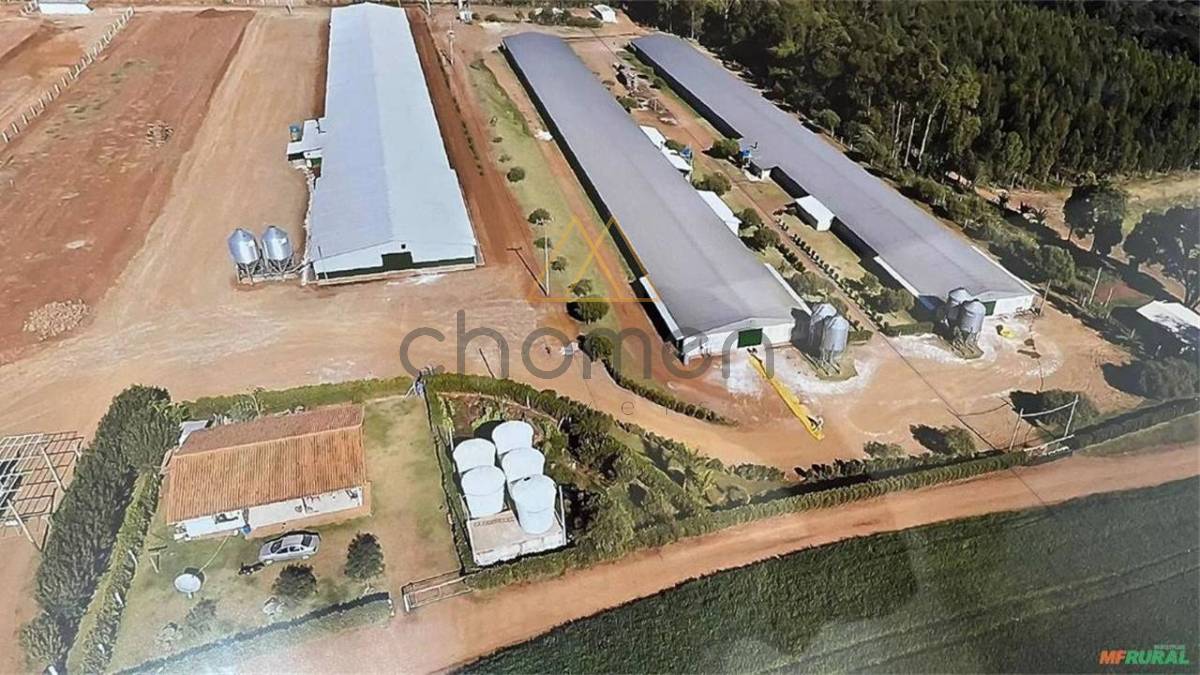 3 aviários Dark House - Total 95 mil aves